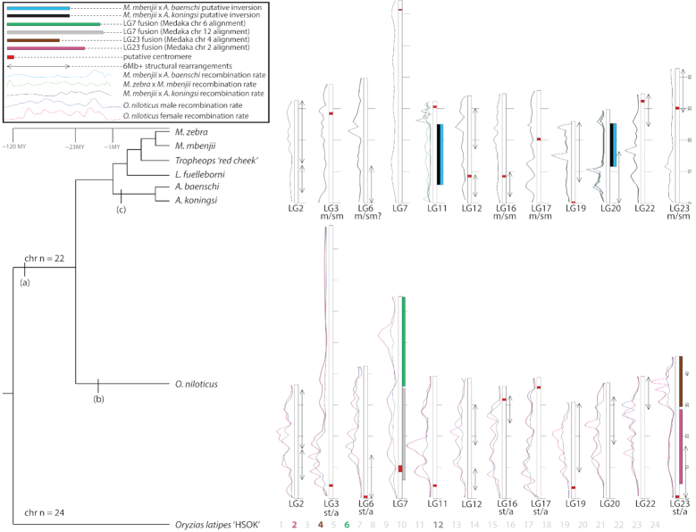 Figure 6: