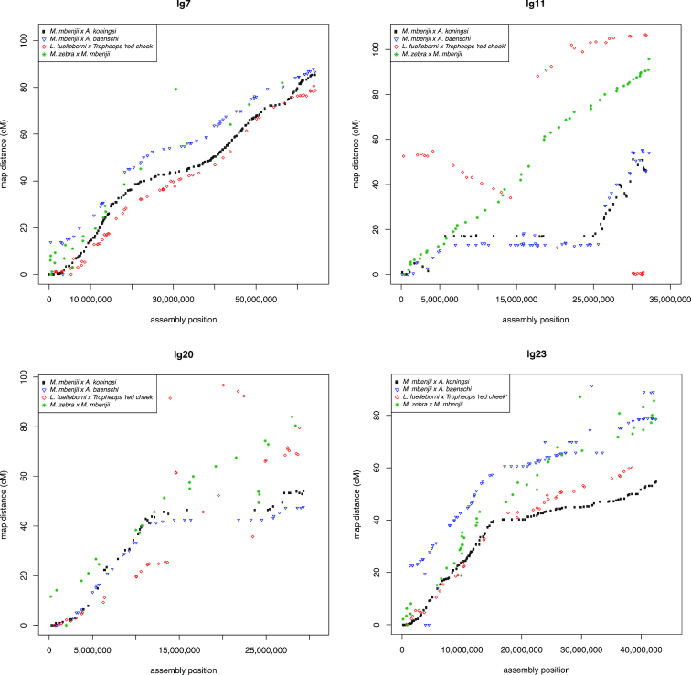 Figure 3: