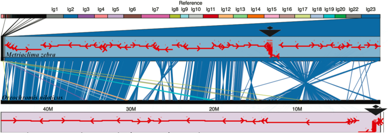 Figure 2: