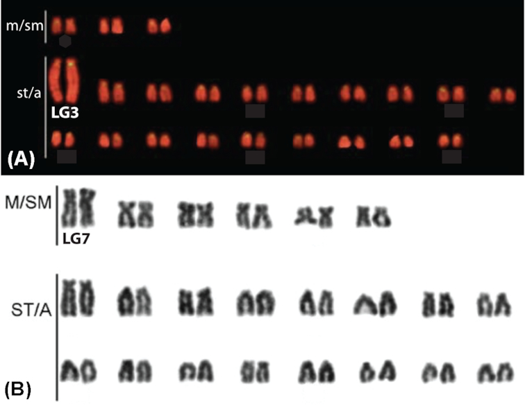 Figure 1: