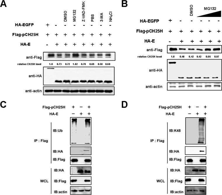 FIG 3