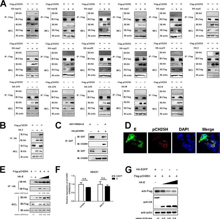 FIG 2