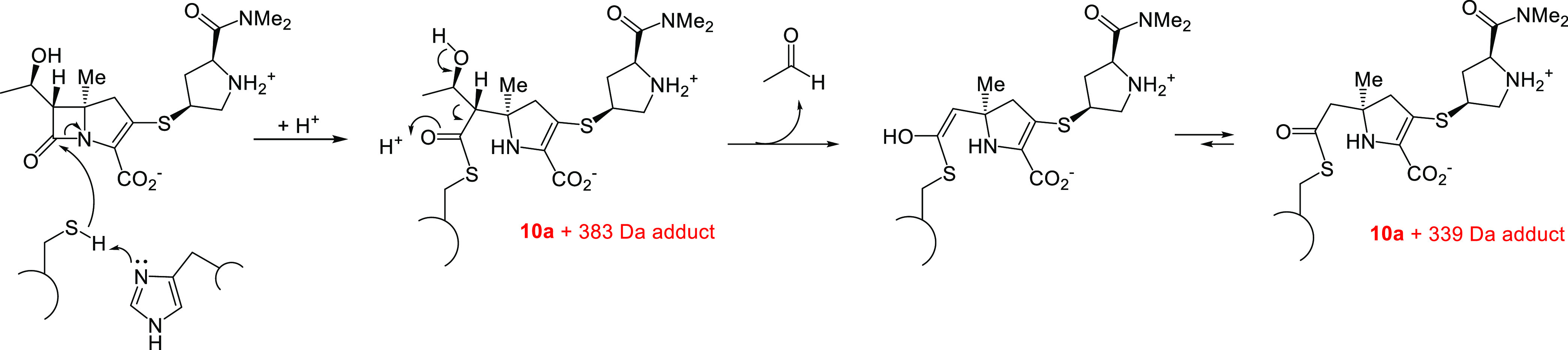 Scheme 3