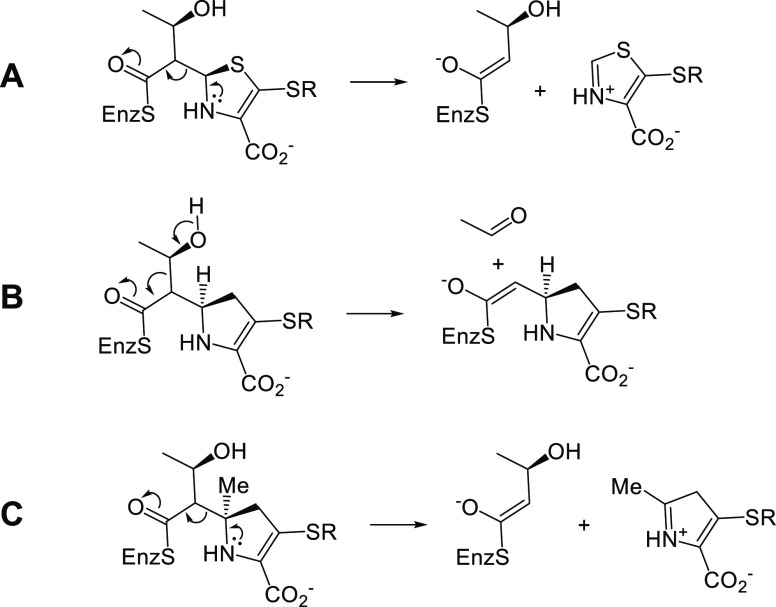 Scheme 5