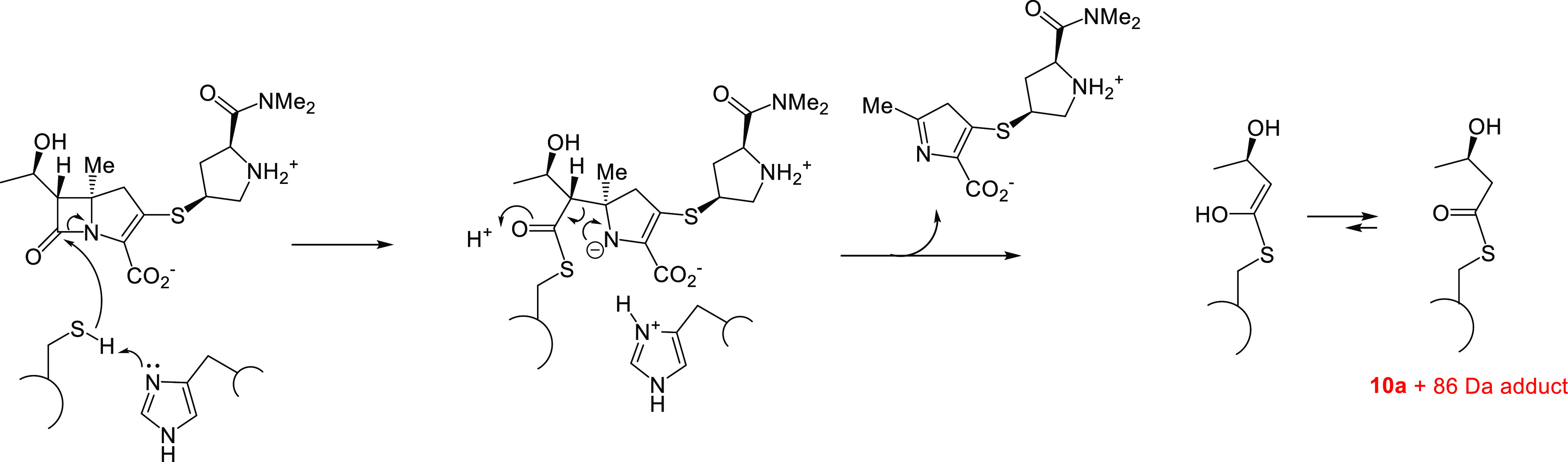 Scheme 4