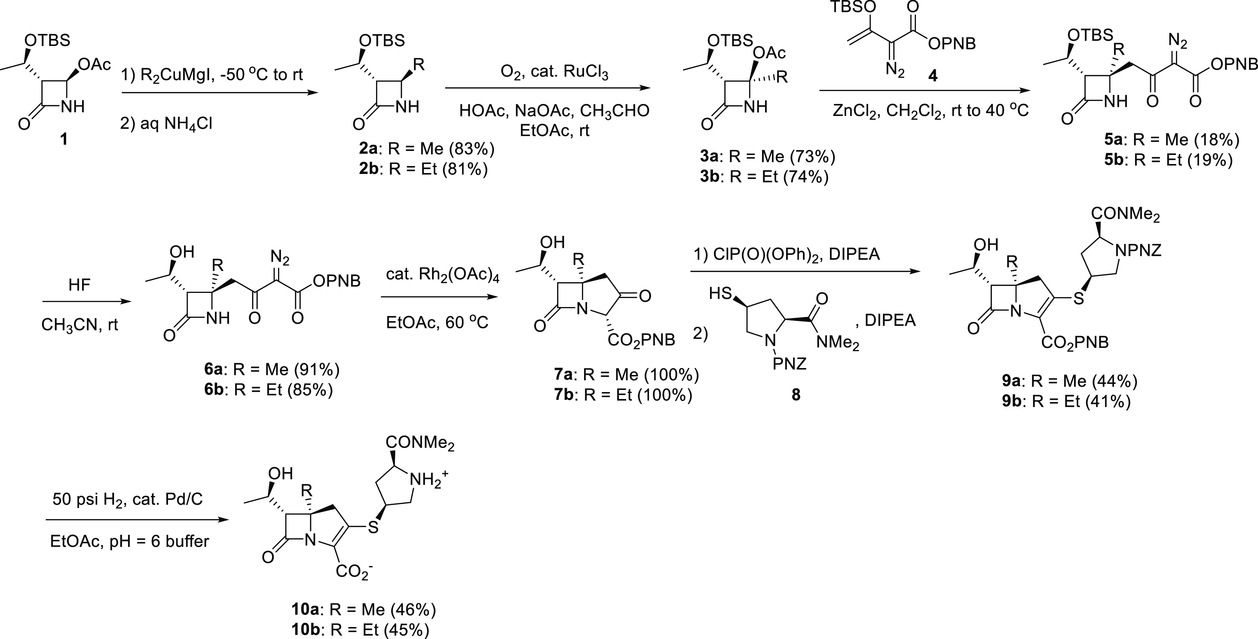 Scheme 1