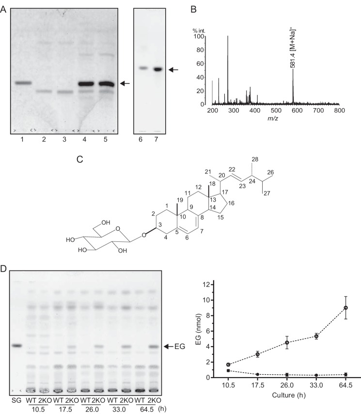 FIGURE 7.