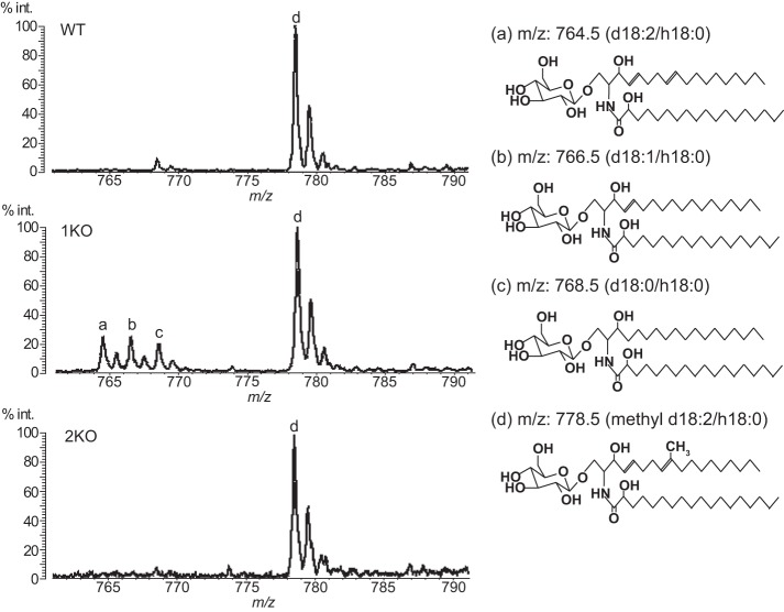 FIGURE 10.