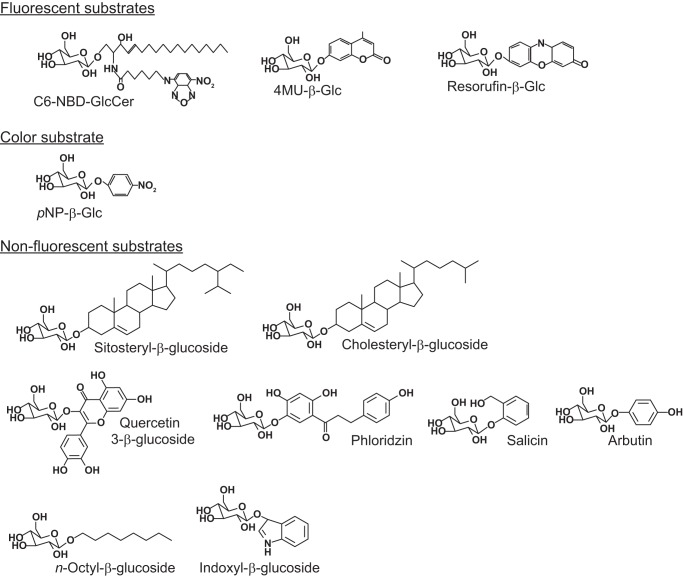 FIGURE 4.