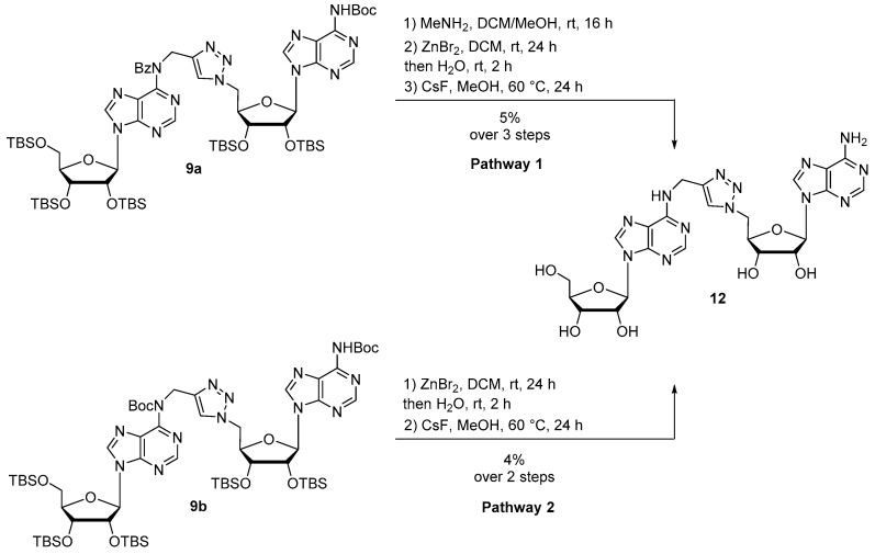 Scheme 5