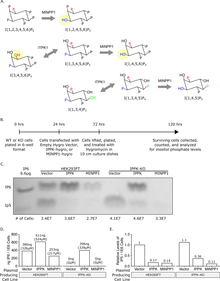 Fig 3