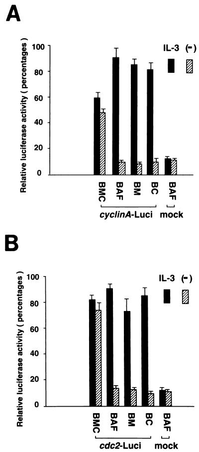 FIG. 6