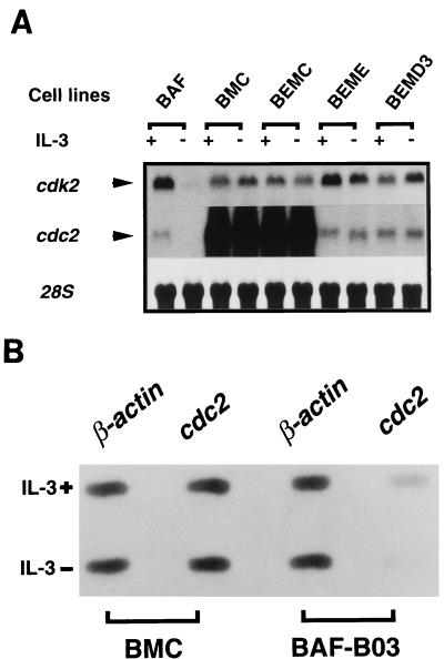 FIG. 7