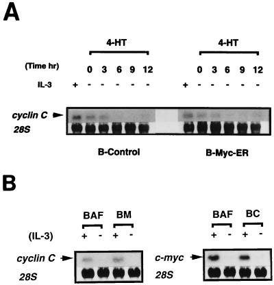 FIG. 8