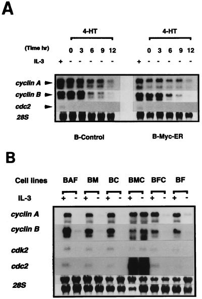 FIG. 5