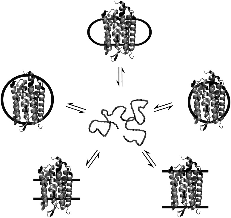 Fig. 9