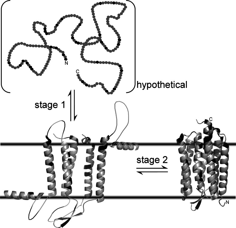 Fig. 5