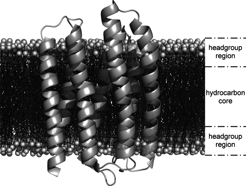 Fig. 1