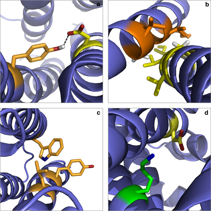 Fig. 6