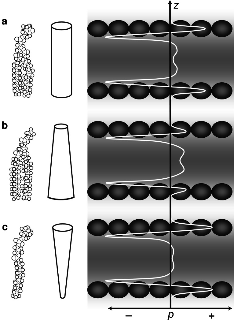 Fig. 8