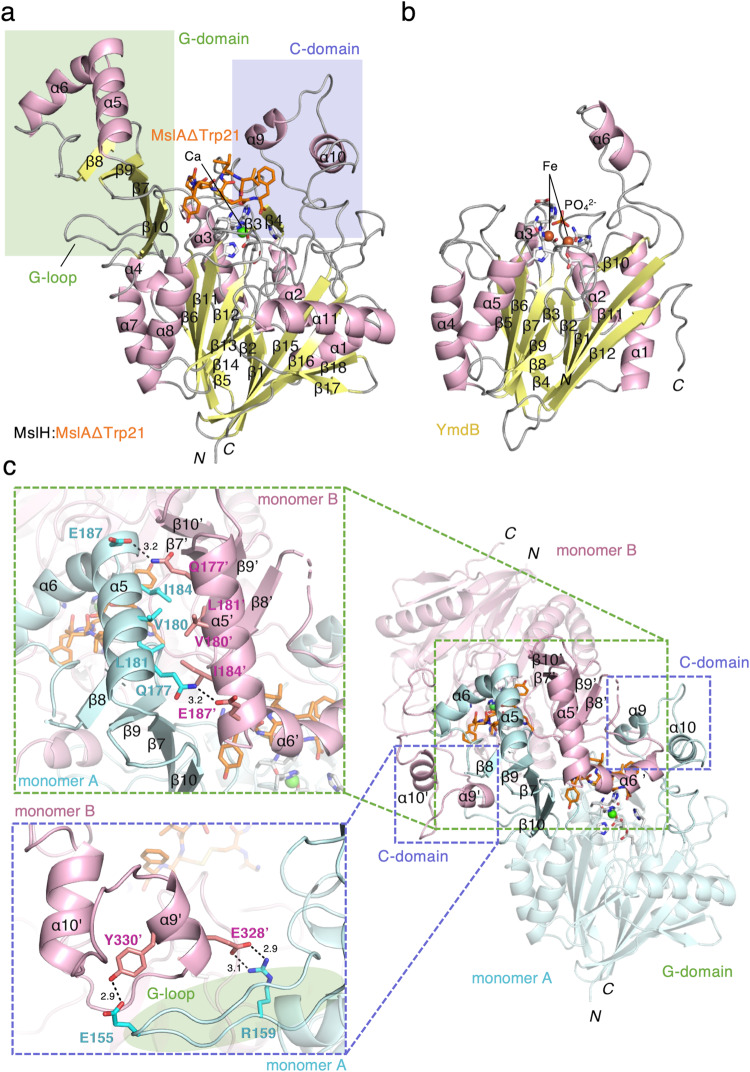 Fig. 3