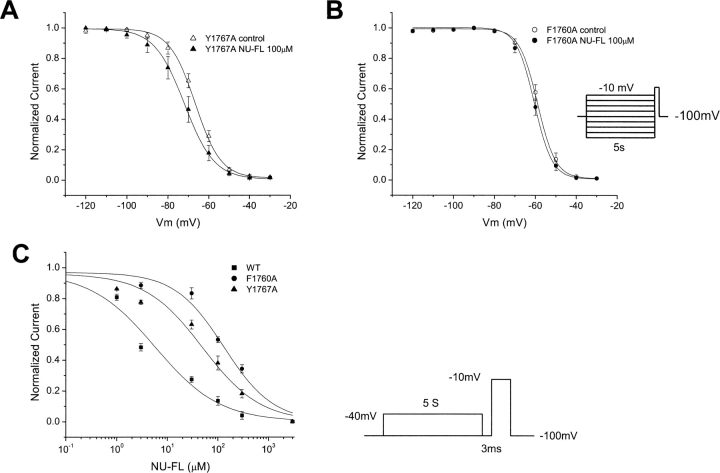 Figure 11. 