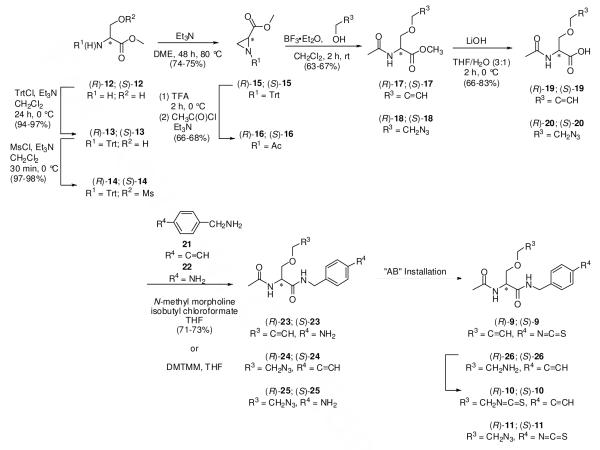 Scheme 2