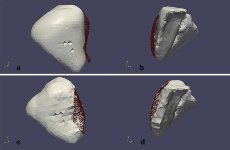 Fig. 11