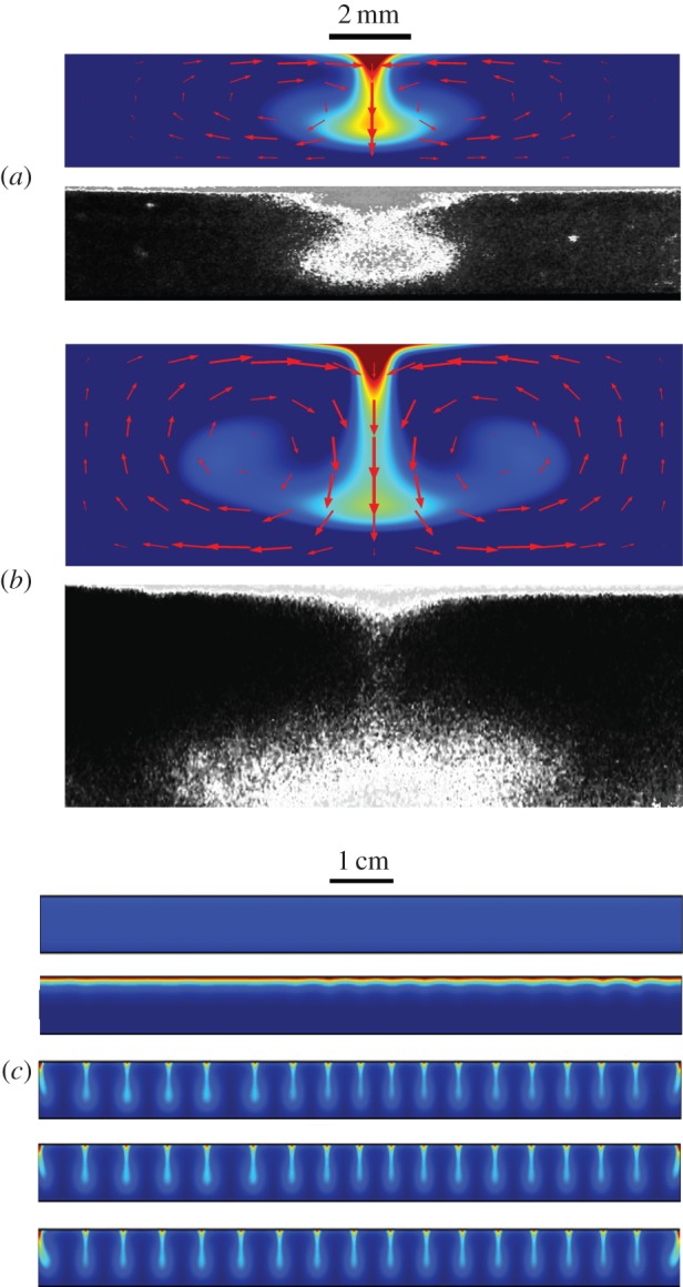 Figure 2.