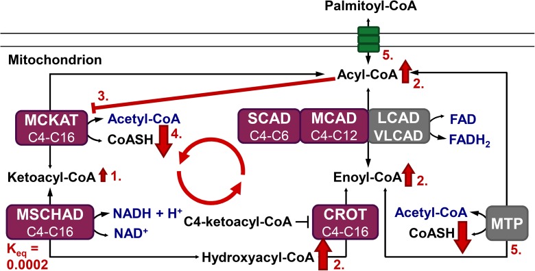 Fig 6