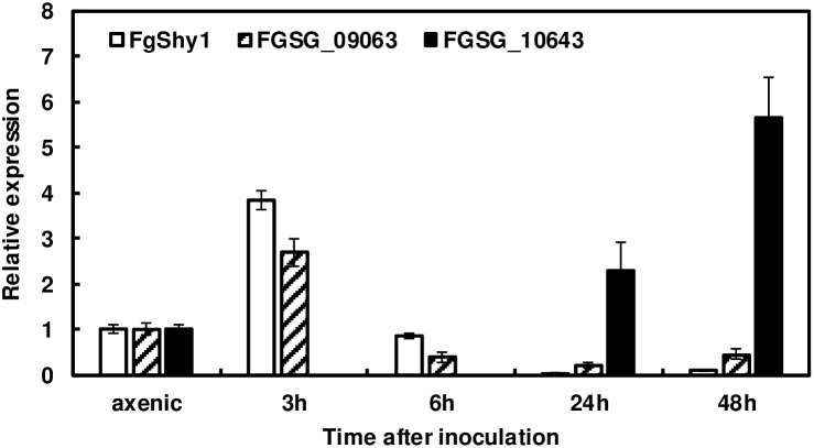 FIGURE 7