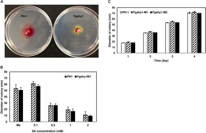 FIGURE 6