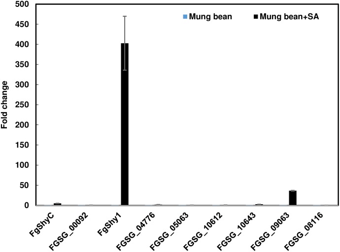 FIGURE 3