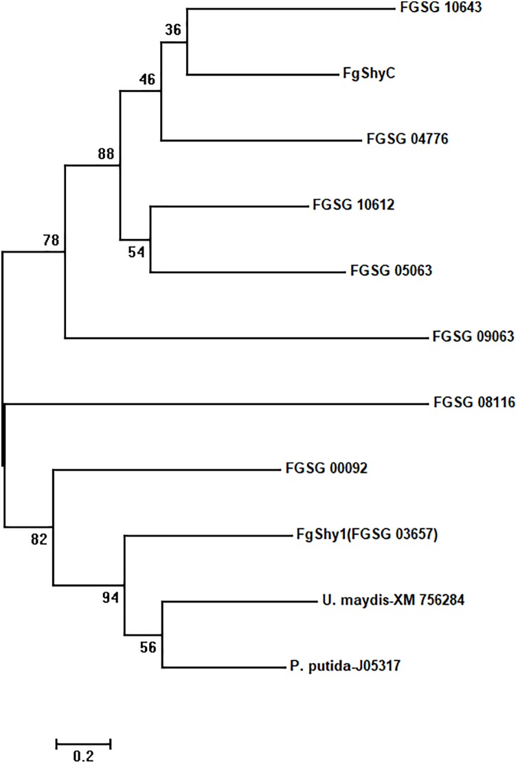 FIGURE 2