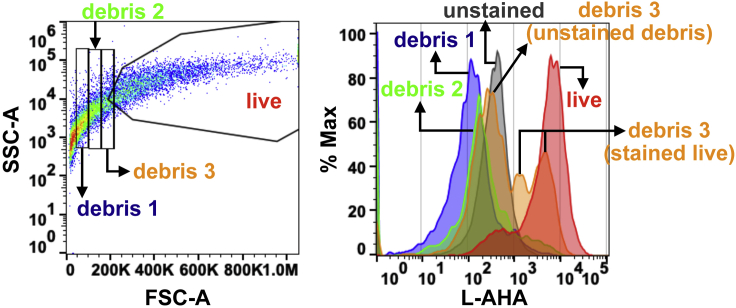 Figure 3