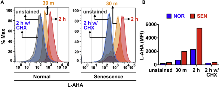 Figure 4