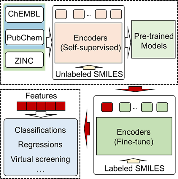 graphic file with name nihms-1825598-f0001.jpg