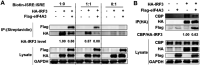 FIG 8