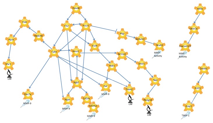 Figure 5