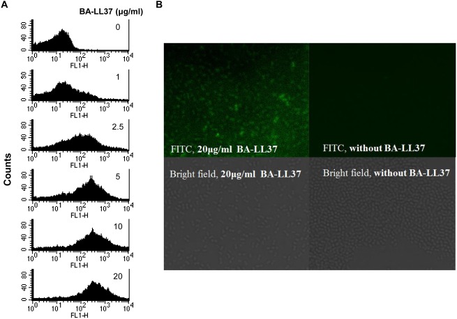 Fig 3