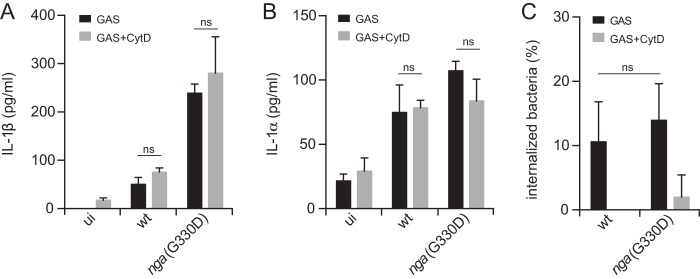 FIG 2 