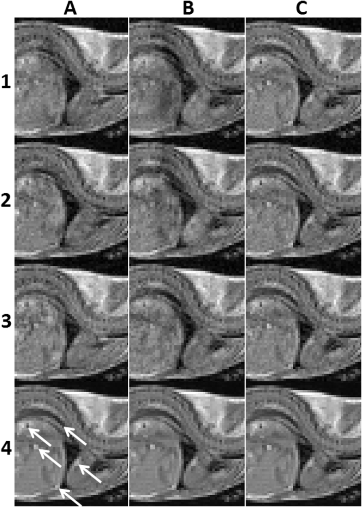 Fig. 5