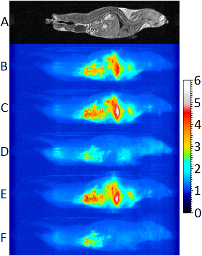 Fig. 7