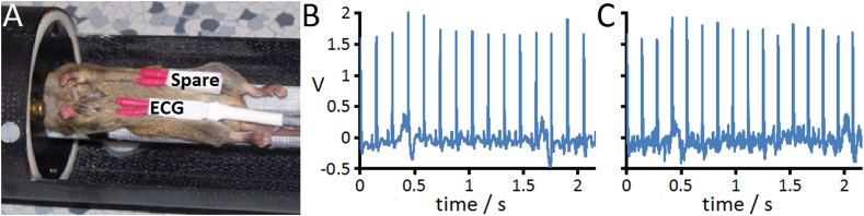 Fig. 9