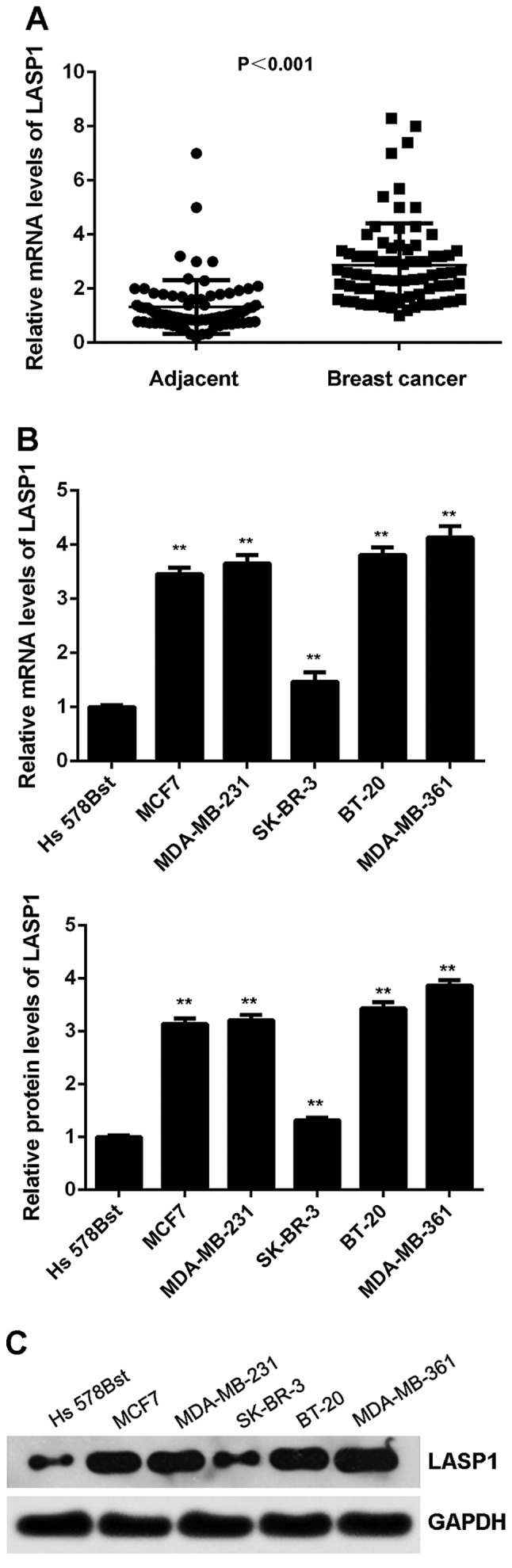 Figure 6.