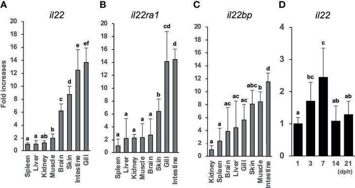 Figure 2