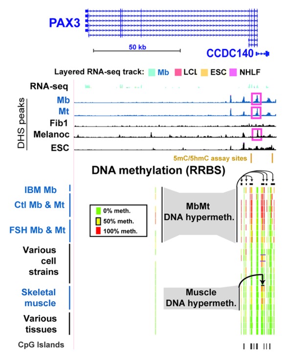 graphic file with name epi-8-317-g2.jpg