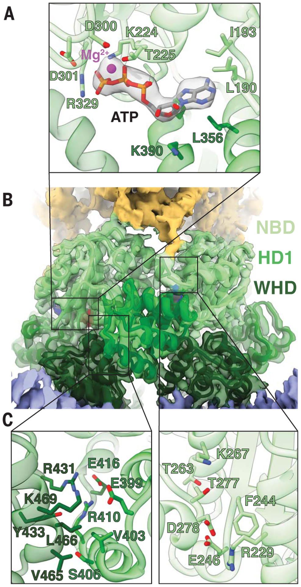 Fig. 3.