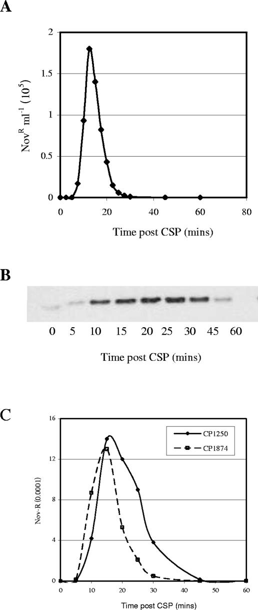 FIG. 6.