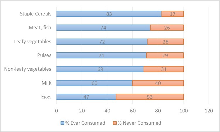 Food Group Consumption by Children18-23 months of age